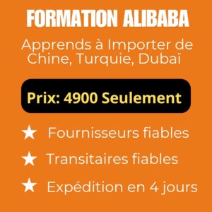 L'Art de l’Import : Devenir Pro grâce à Alibaba, même avec un petit budget